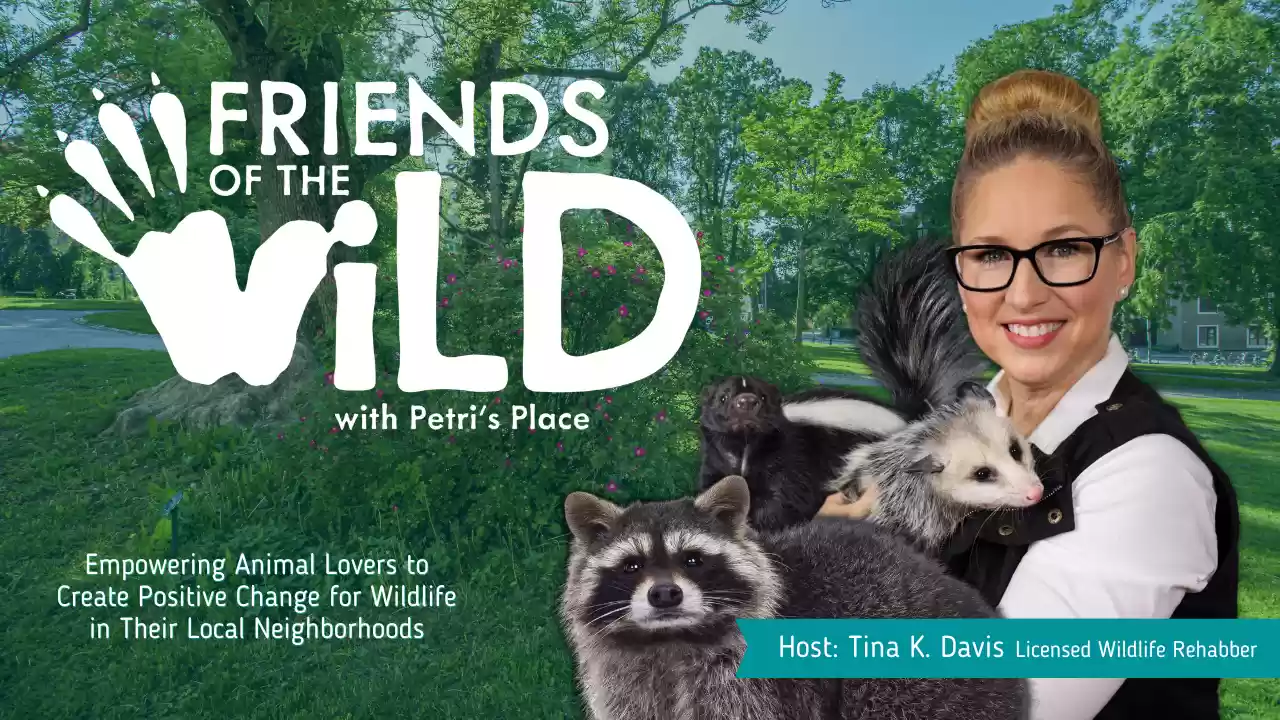 Friends Of The Wild with Petri's Place